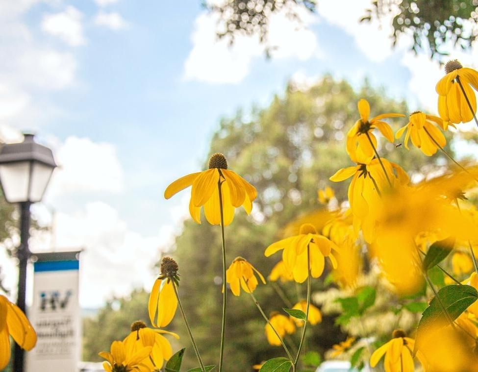 Campus Flowers with Flag